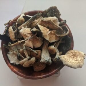 Buy B+ Magic Mushrooms