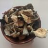 Buy B+ Magic Mushrooms
