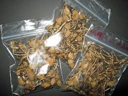 Buy Liberty Caps UK