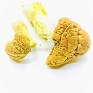 Buy Malabar Mushrooms UK