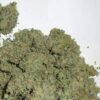 Master Kush Weed UK