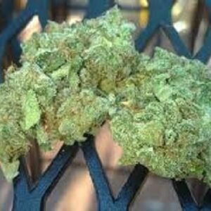 Northern Lights Weed UK