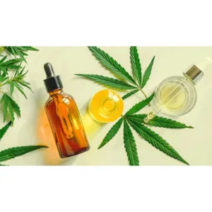 X1 Litre Organic Hemp Seed Oil